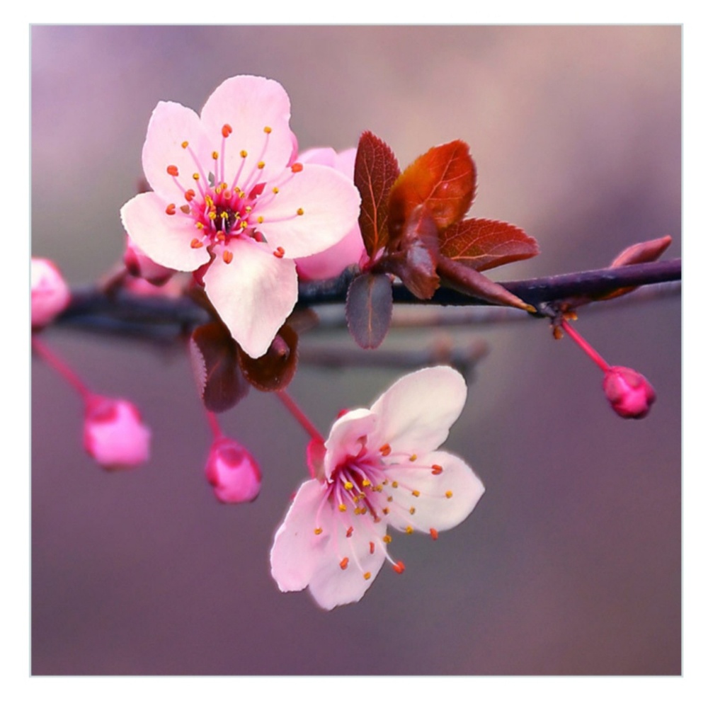 Meet your Posher, Breanne